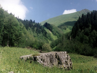 Кавказский государственный биосферный заповедник - достопримечательность Сочи