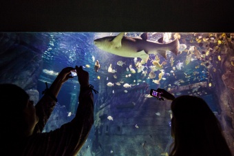 Океанариум "Sochi Discovery World Aquarium"  - достопримечательность Сочи