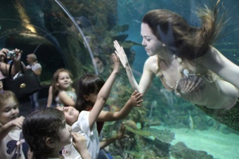 Океанариум "Sochi Discovery World Aquarium"  - достопримечательность Сочи