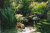 Сад "Фитофантазия" - достопримечательность Сочи