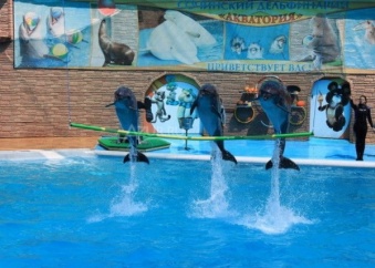 "Дельфинарий в Курортном городке" - Экскурсия в Сочи