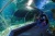 "Путешествие в глубь океана: Океанариум в Адлере" - Экскурсия в Сочи